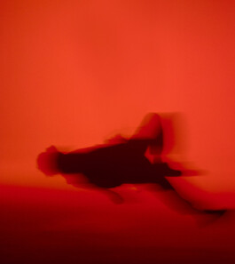  Dan Depew - commercial and editorial portrait photographer and art director based in Seattle