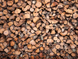 Photo of Mo Chilli BBQ by photographer Dan Depew Dan Depew - commercial and editorial portrait photographer and art director based in Seattle