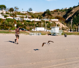 Photo of Josh Simpson of BPGlobalPR by Seattle photographer Dan Depew Dan Depew - commercial and editorial portrait photographer and art director based in Seattle
