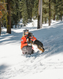 Malea Jordan and her avalanche rescue dog Ripp training at Northstar ski resort in Tahoe, CA Dan Depew - commercial and editorial portrait photographer and art director based in Seattle