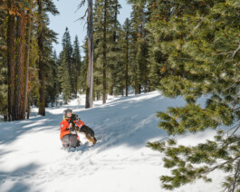 Malea Jordan and her avalanche rescue dog Ripp training at Northstar ski resort in Tahoe, CA Dan Depew - commercial and editorial portrait photographer and art director based in Seattle