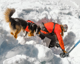 Malea Jordan and her avalanche rescue dog Ripp training at Northstar ski resort in Tahoe, CA Dan Depew - commercial and editorial portrait photographer and art director based in Seattle
