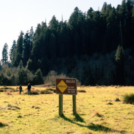  Dan Depew - commercial and editorial portrait photographer and art director based in Seattle