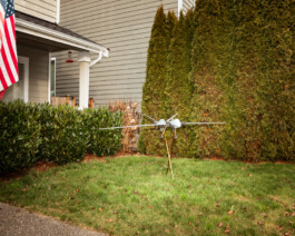 Dan Depew - commercial and editorial portrait photographer and art director based in Seattle